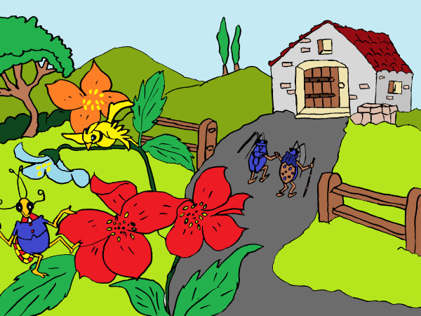 Dessin dans le monde des insectes