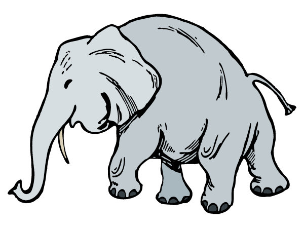 Elephant