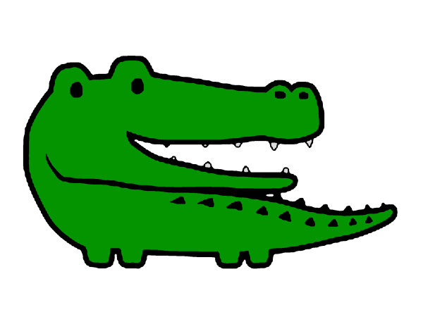 Crocodile