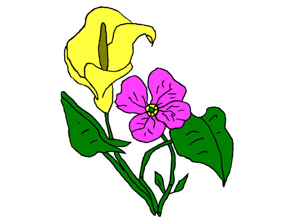 Dessin d'un bouquet de fleurs