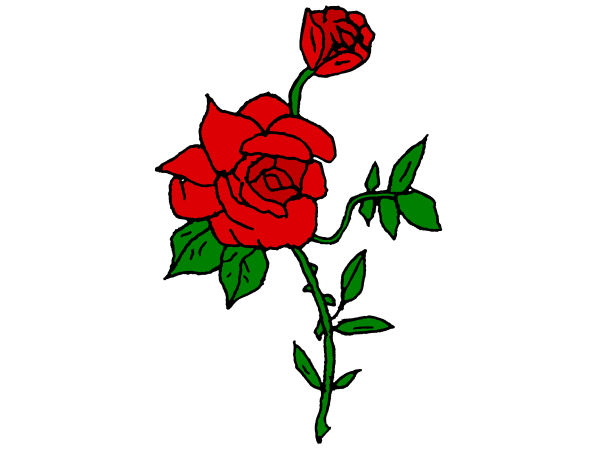 Dessin de roses